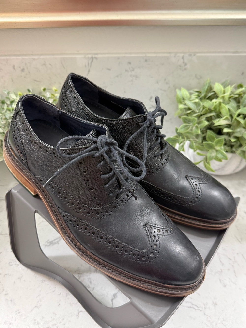Cole Haan Colton Classic Black Wingtip Oxford Lace-Up Shoes - Men